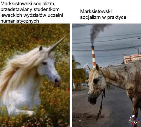 Socjalizm w praktyce