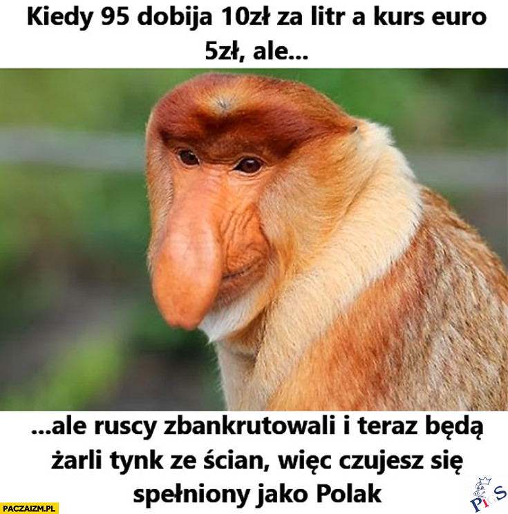 Spełniony Polaczek