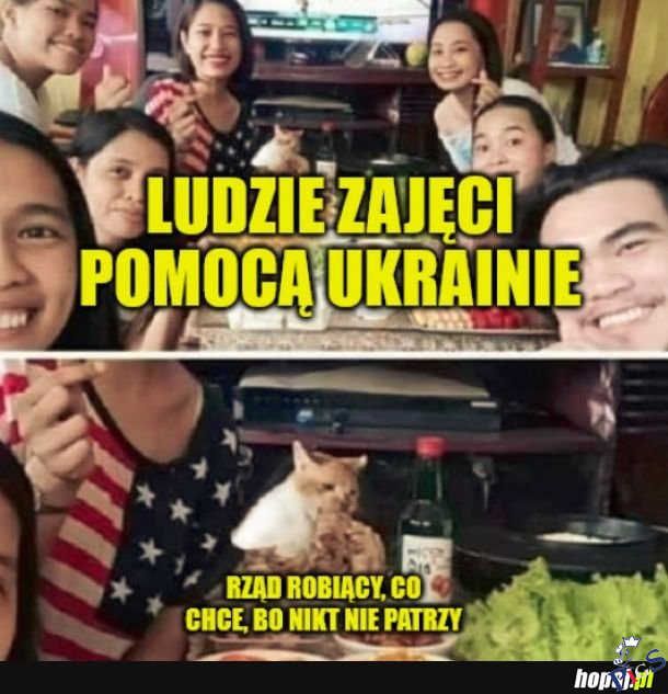 Tak to właśnie wygląda