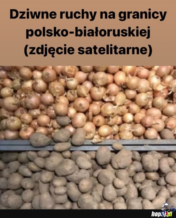 Dziwne ruchy