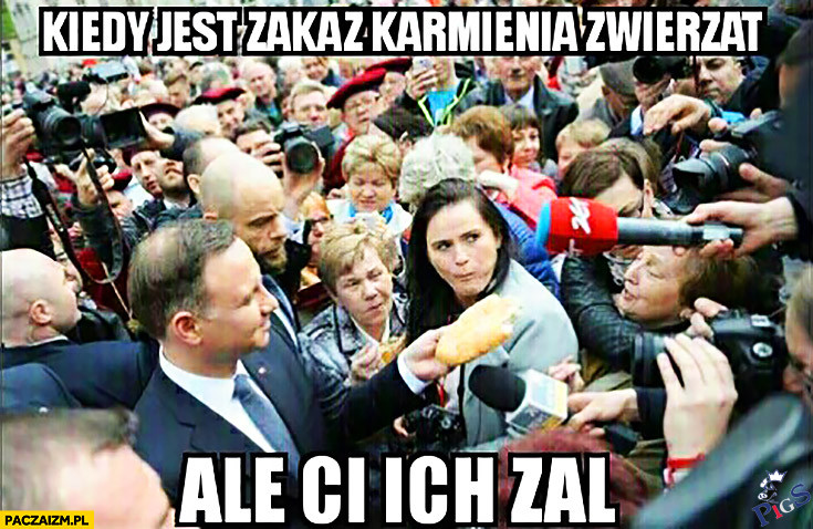 Kiedy jest zakaz karmienia zwierząt