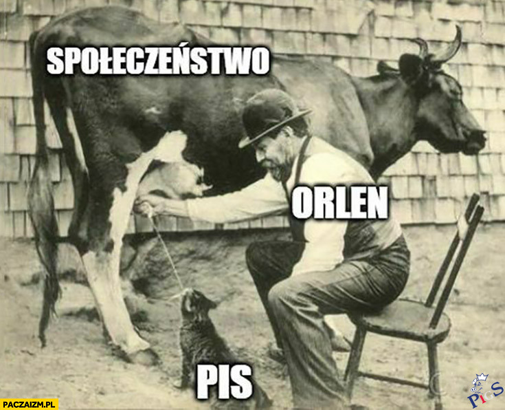 Obajtek to by nawet byka wydoił