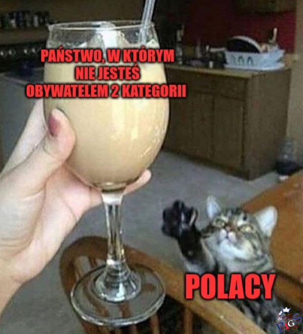 Państwo, w którym nie jesteś obywatelem 2 kategorii