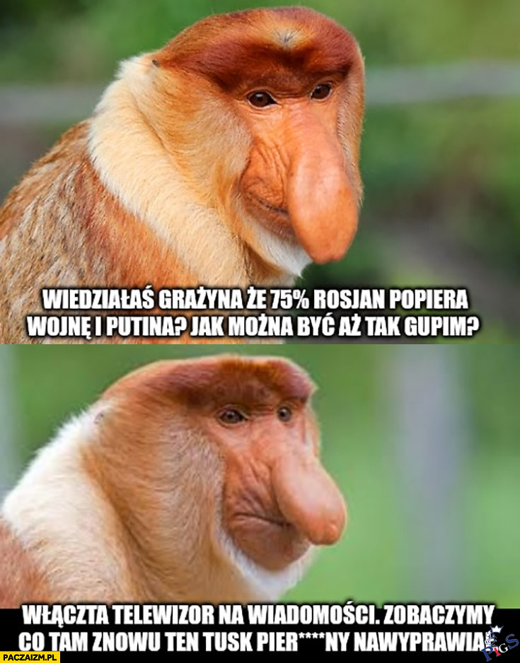 Takich nosaczy jak w Polsce w Rosji musi być więcej