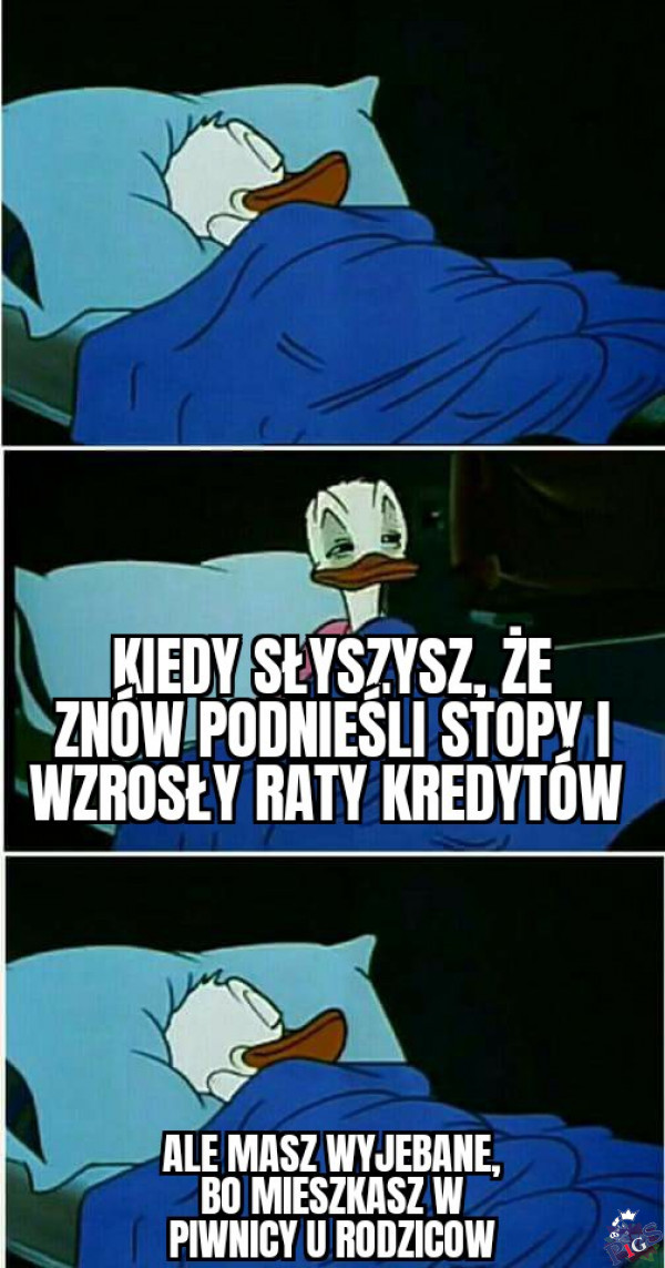 Z obecnej sytuacji cieszą się oprócz nierobów także piwniczaki