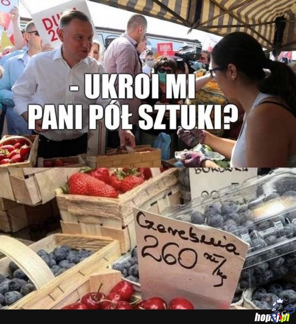 Drogo
