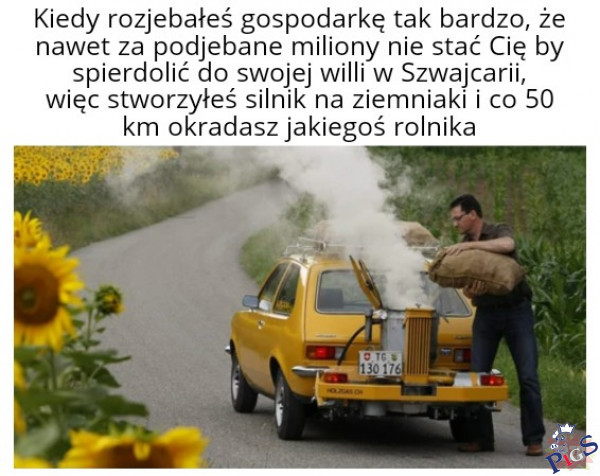 Iwonka tylko nie zapomnij kupić kartofli