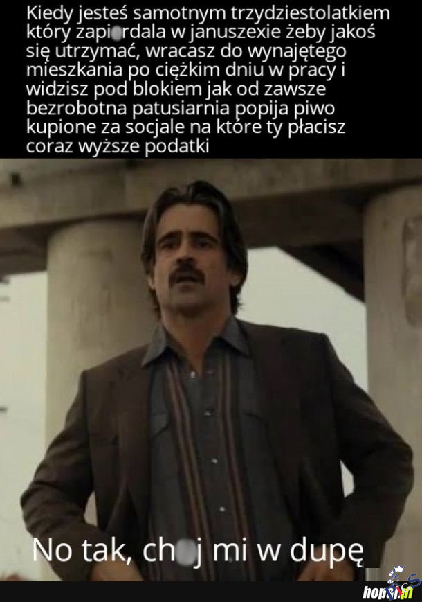 No tak, chuj mi w dupę