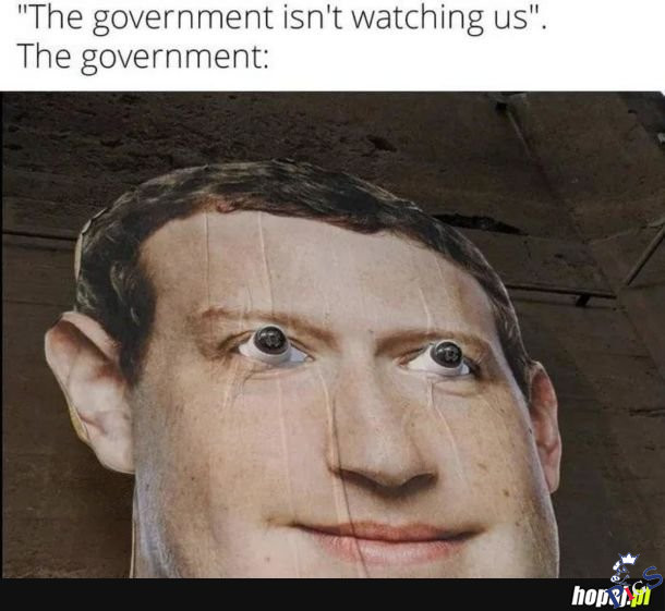 The government