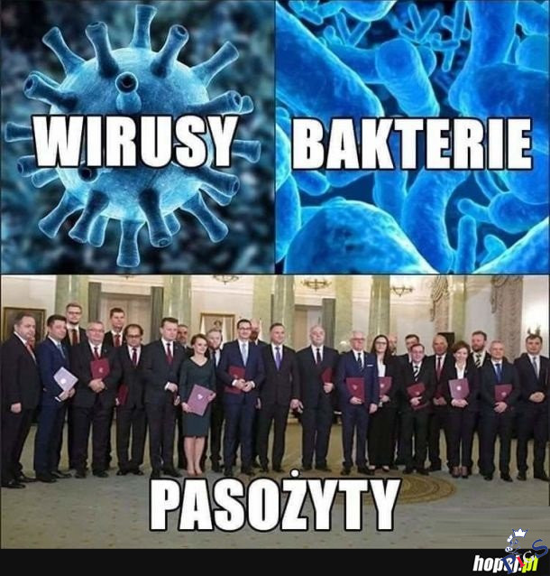 Wirusy, bakterie, pasożyty