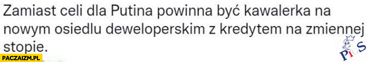 Zamiast celi