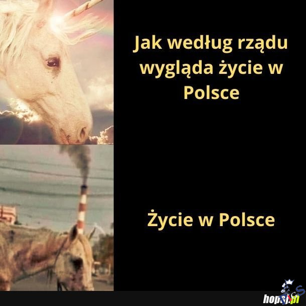 Życie w Polsce – rząd vs. rzeczywistość