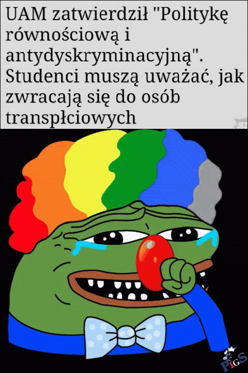 1:0 dla Uniwersytetu Ekonomicznego