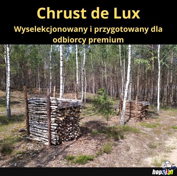Chrust de Lux