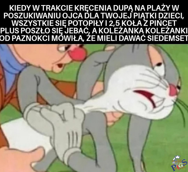 Gdzie są moje czesterfildy?