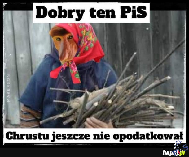Głosijta dalij na nich