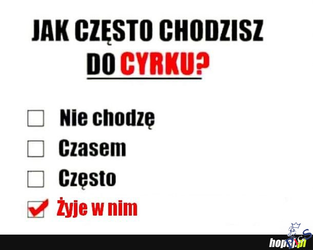 Jak często chodzisz do cyrku?