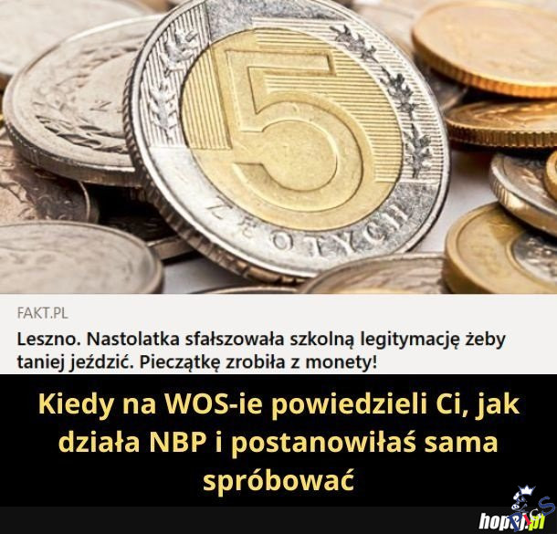 Kiedy na WOSie powiedzieli Ci, jak działa NBP