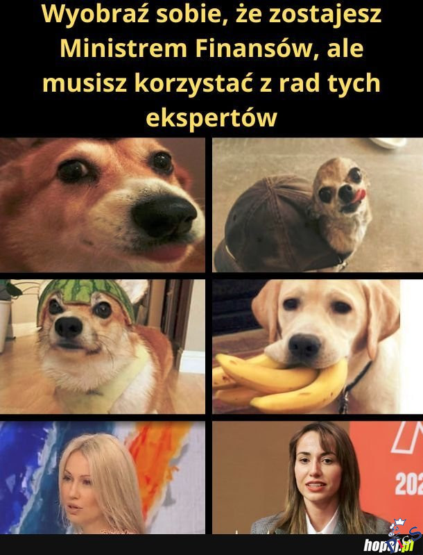Kogo byś posłuchał?