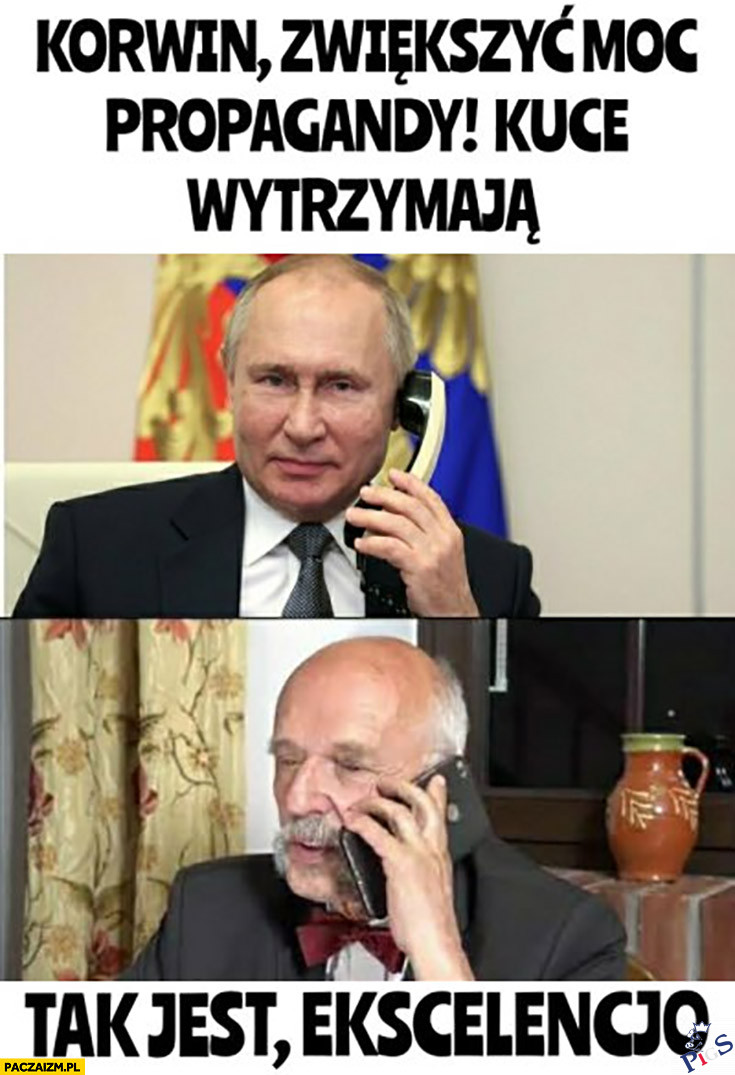 Korwin!