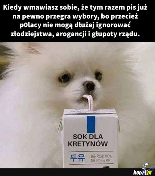 Mogą