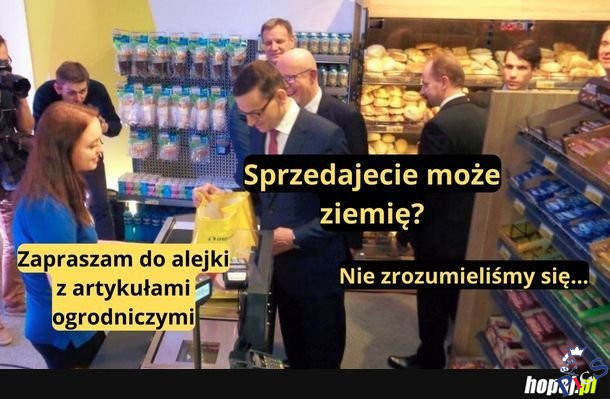 Nieporozumienie