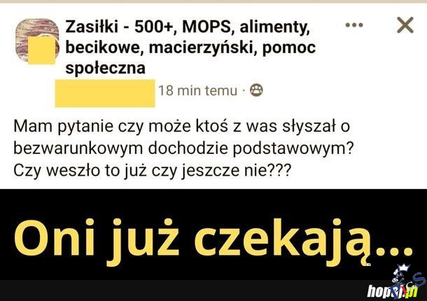 Oni już czekają