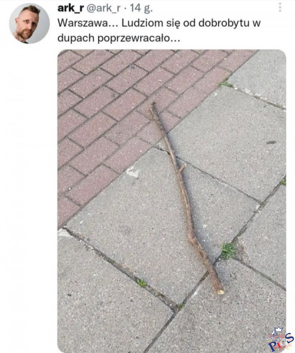 Warszawskie burżuje