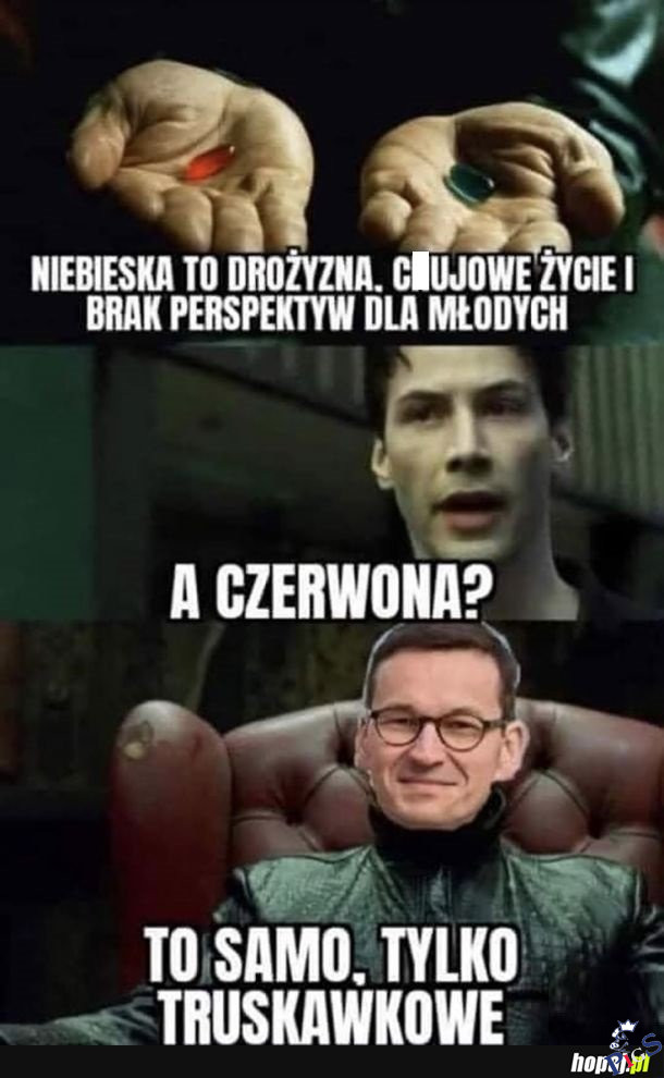 Witaj w Polsce Neo