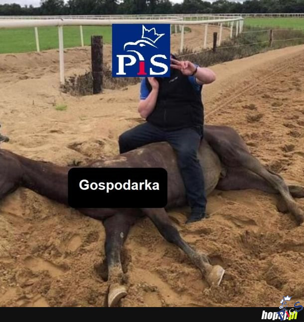 Wstawaj, wytrzymaj jeszcze do wyborów
