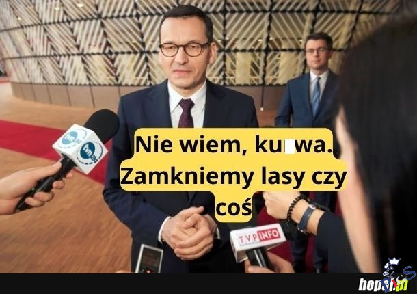 Zamkną lasy