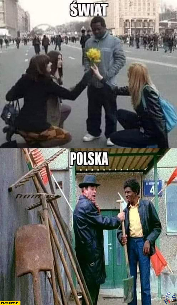 Jedyny aspekt, w którym Polska jest lepsza od reszty świata
