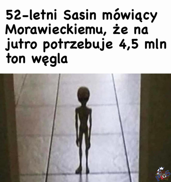 Matełusz śpisz?