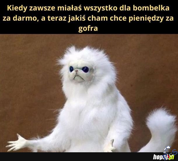 No nie możliwe!