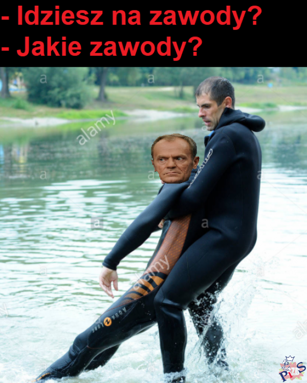 Nowe zawody