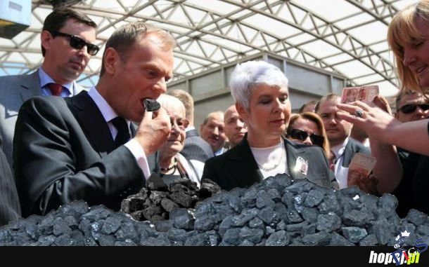 Paradoks węgla rozwiązany