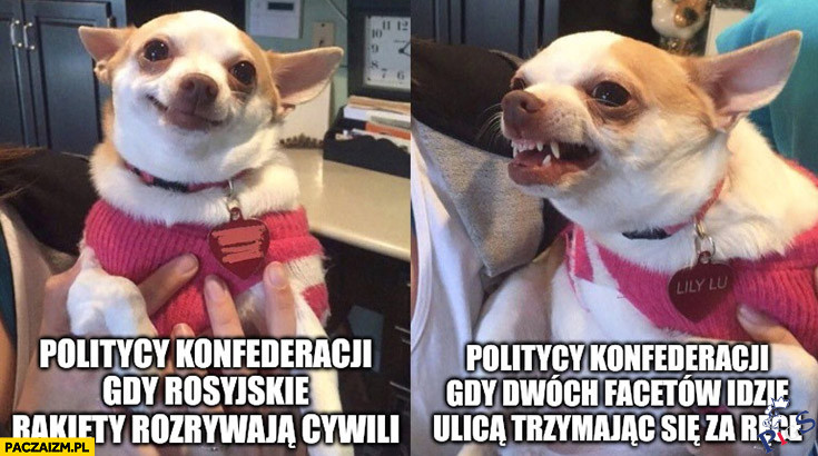 Poliycy Konfederacji
