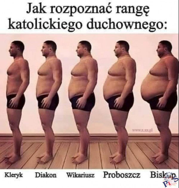 Poziom władzy w Katolandii