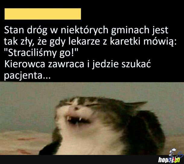 Stan dróg w Polsce