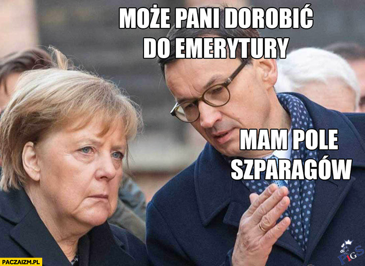 Taki dobrobyt, że Niemcy do Polski na szparagi przyjeżdżają