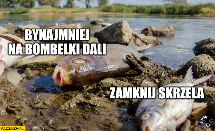 BYNAJMNIEJ na bombelki dali