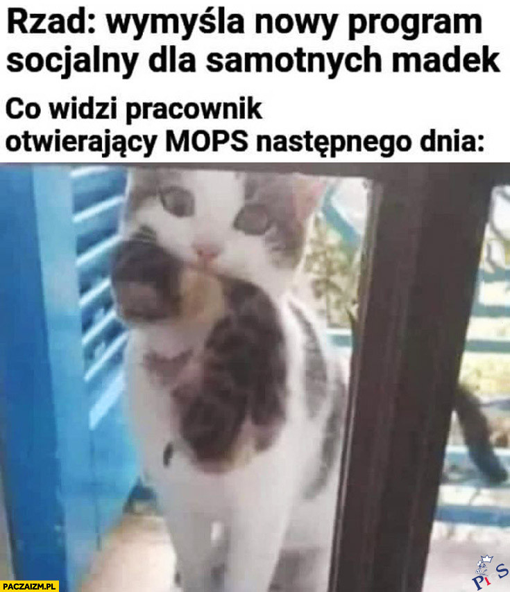 Brajanek jest taki grzeczny, że wystarczy go nieść w pyszczku