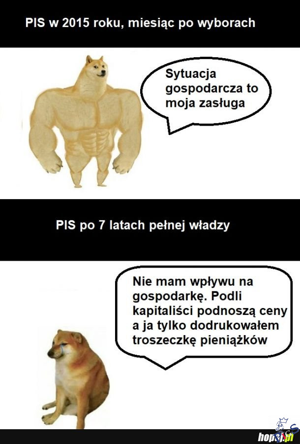 Co złego to nie PiS