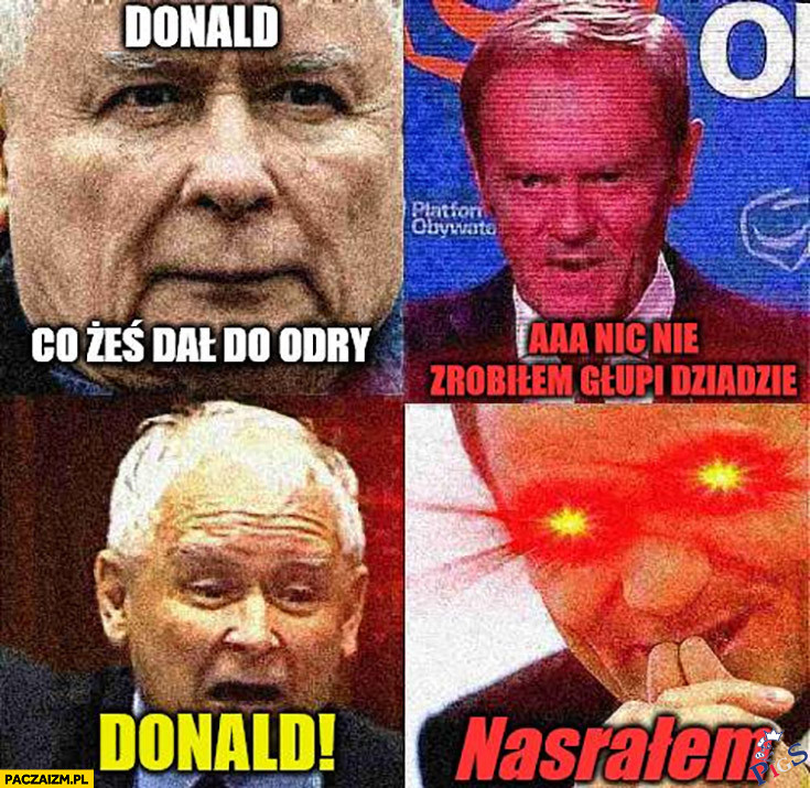 Co żeś zrobił?