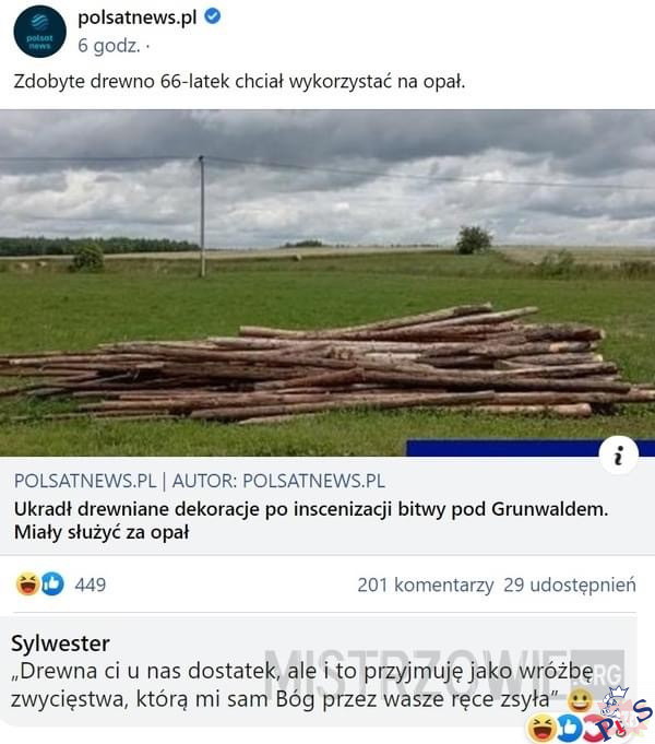Drewna ci u nas dostatek