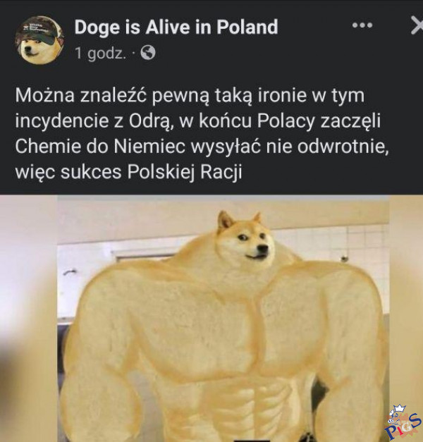 Dzięki PiSowi pierwszy raz w historii to my wysłamy chęmię do Niemiec