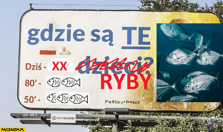 Gdzie są te ryby?