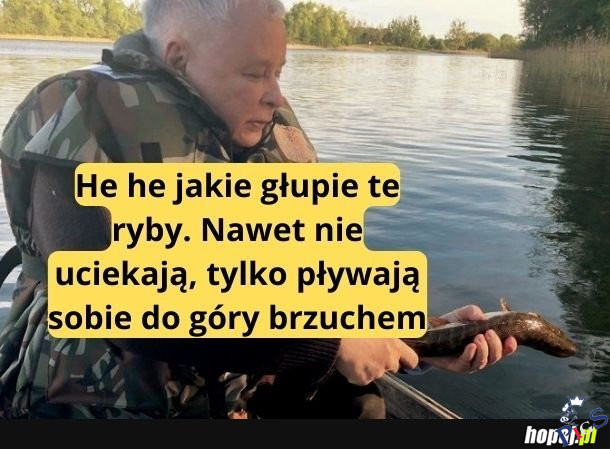 Głupie ryby