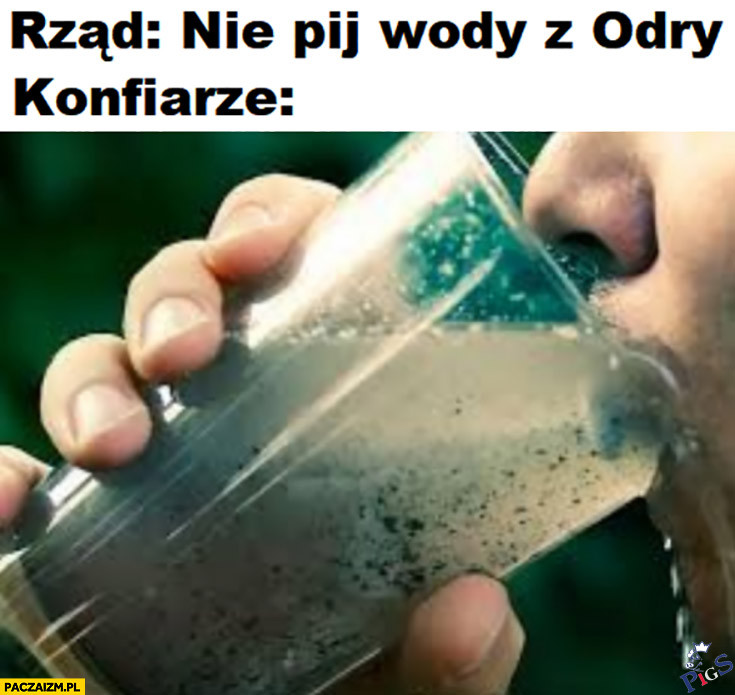 Konfiarze patrzcie i się uczcie