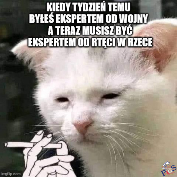 Kraj ekspertami słynący